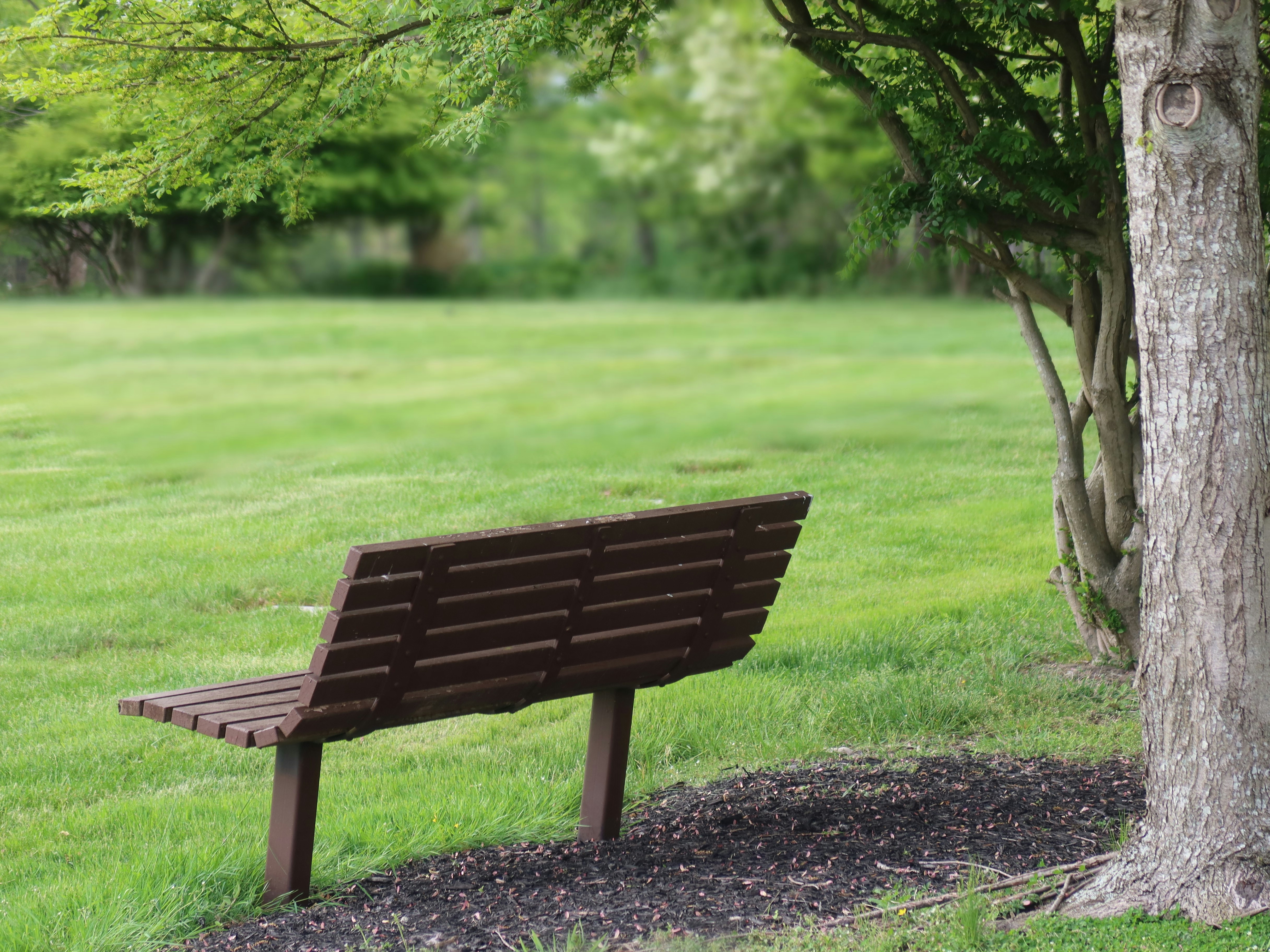 What Working Alongside Suicidal Crisis Has Taught Me