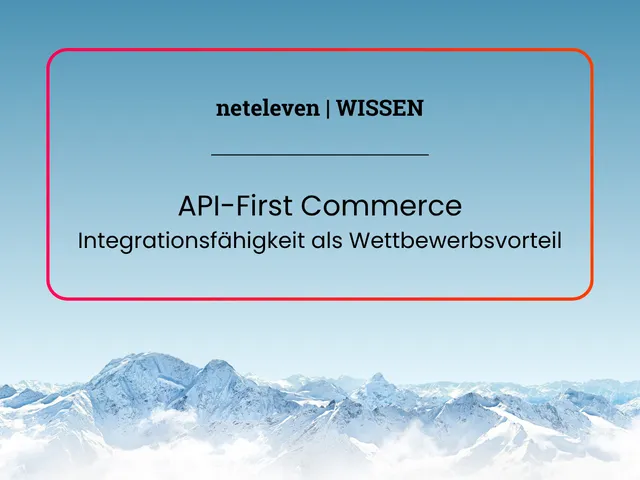 neteleven Wissen Blog API-first Commerce Integrationsfähigkeit als Wettbewerbsvorteil