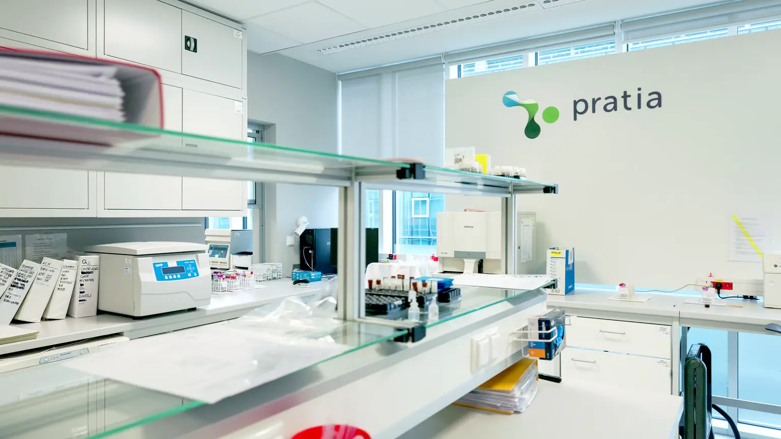 Pratia interior