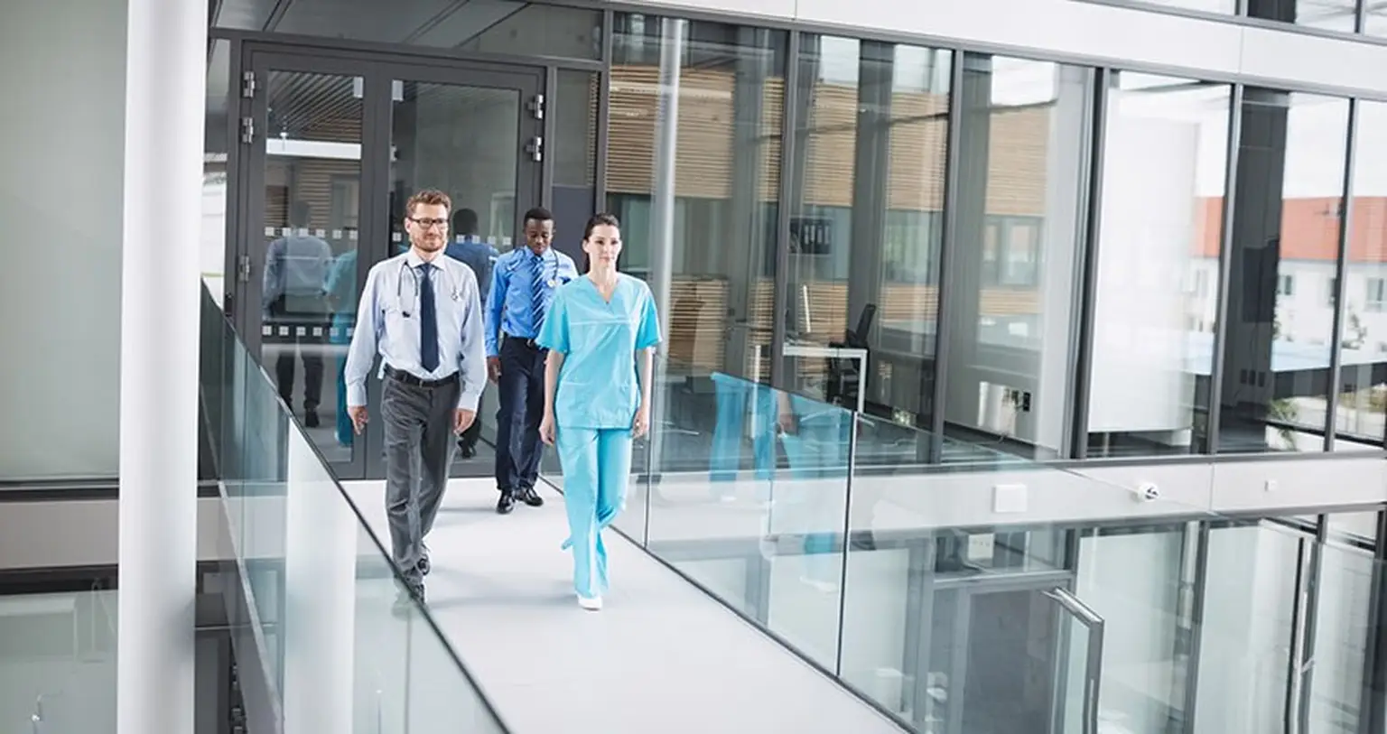 Team of experts walking through research sites in Poland