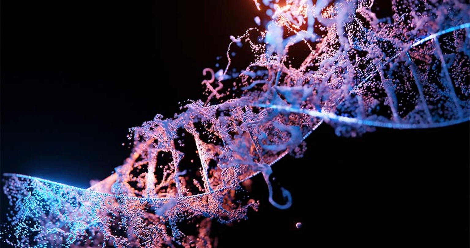 Image of human dna