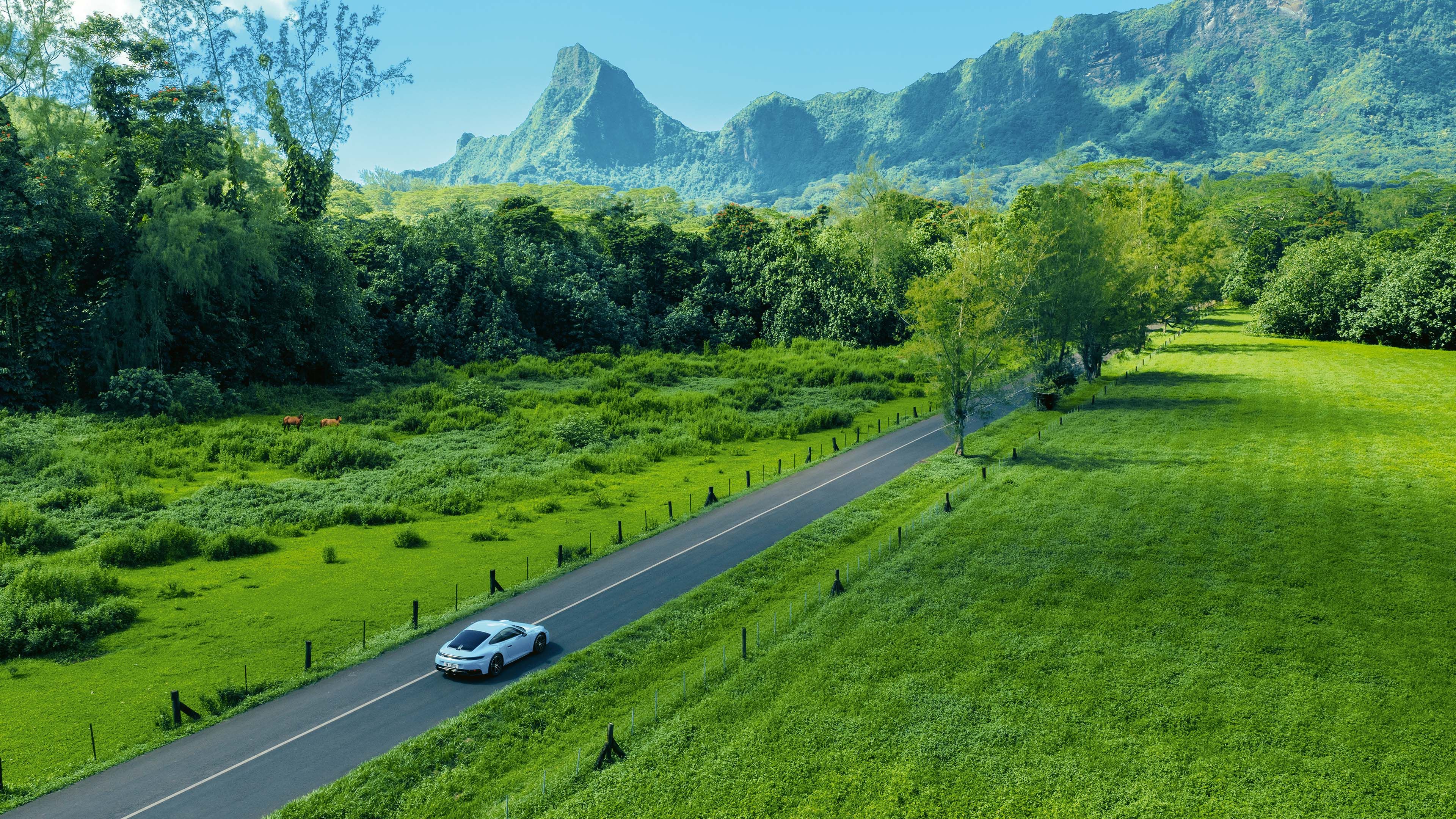 A Porsche 911 driving on a country road through green tropical vegetation with mountains in the background.