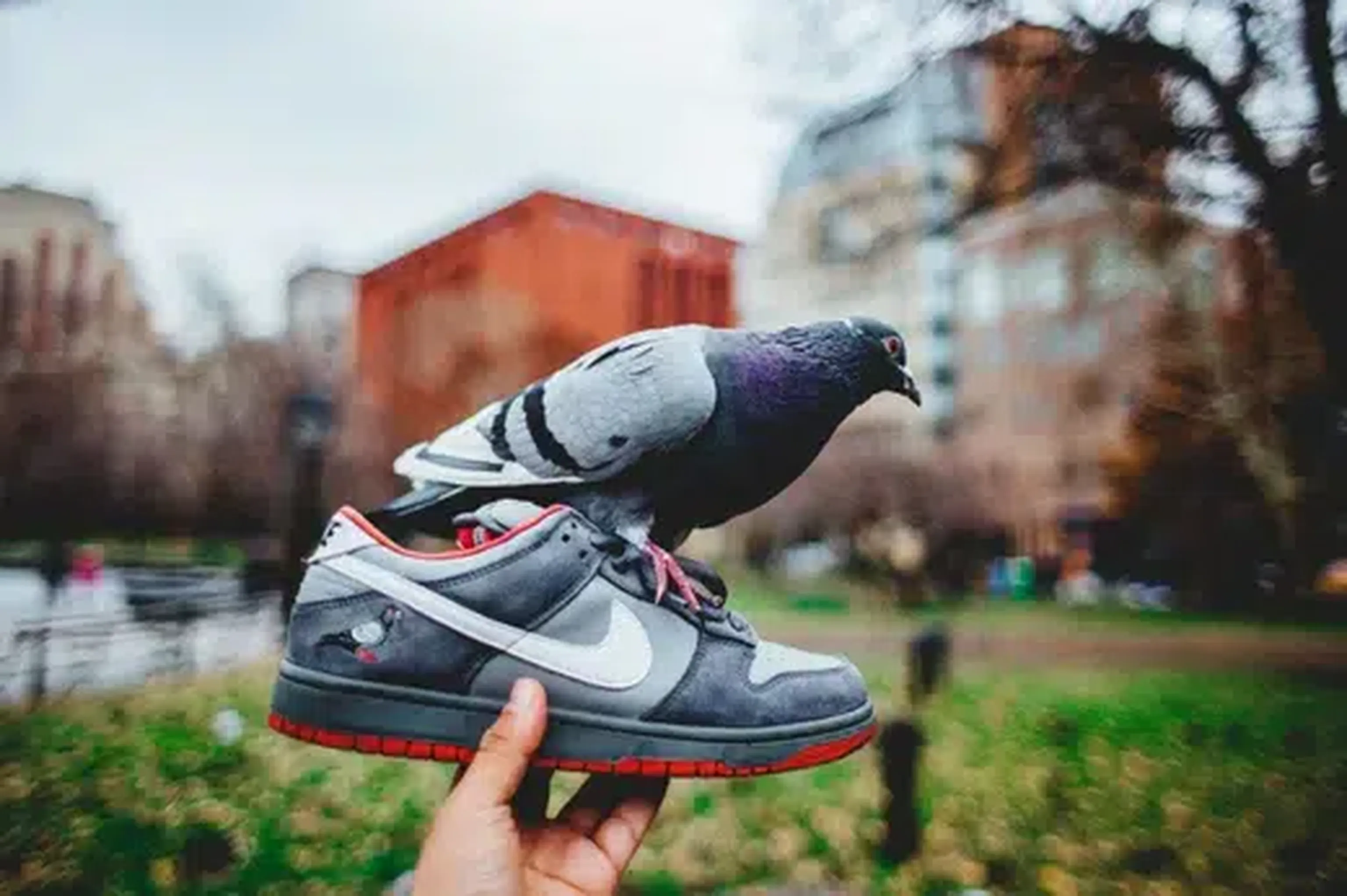 Les meilleures collaborations SB Dunk Low Second Step