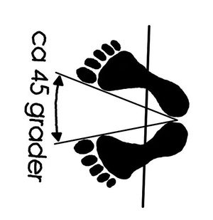 Charyot Sogi - Givakt Ställning