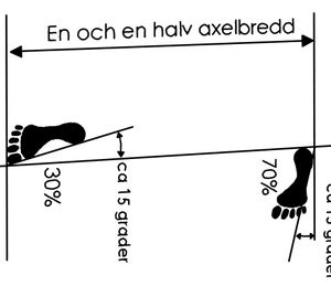 Niunja Sogi L - Ställning