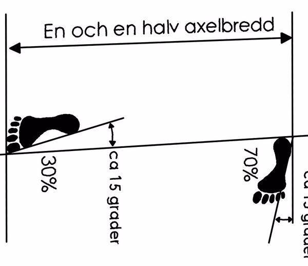 Niunja Sogi L - Ställning