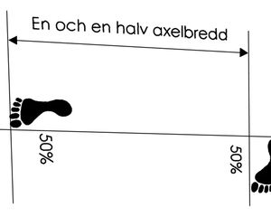 Gojung Sogi - Fixerad Ställning