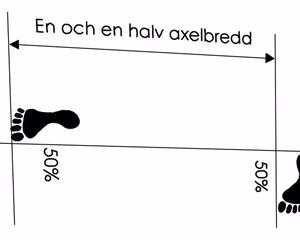 Gojung Sogi - Fixerad Ställning
