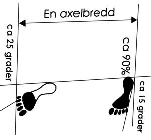 Dwitbal Sogi - Bakrebens Ställning