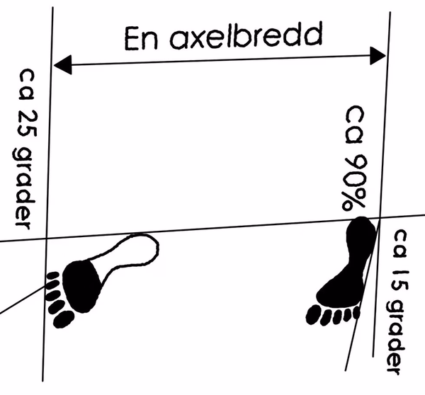 Dwitbal Sogi - Bakrebens Ställning