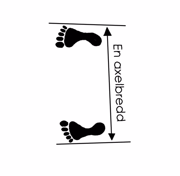 Narani Sogi - Parallell Ställning