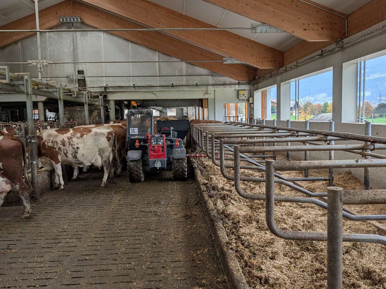 A barn interior with a tractor and cows on the left and empty stalls with straw bedding on the right, under a wooden ceiling.