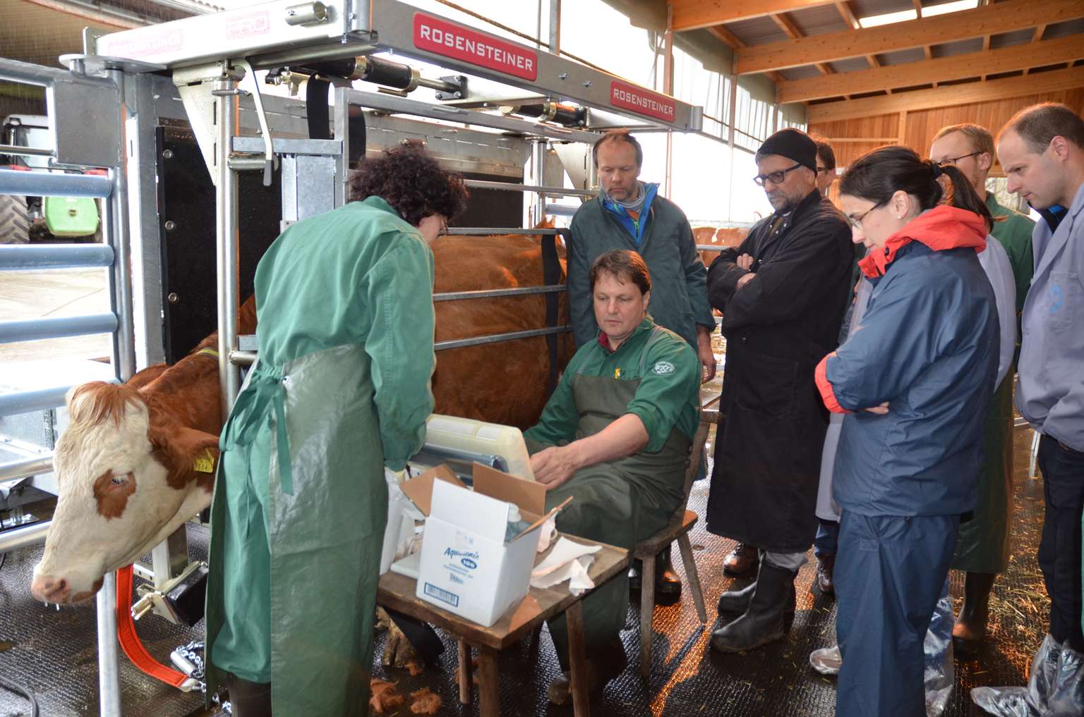 A group of people in a barn watches as two veterinarians examine a cow using equipment. Boxes and tools are visible around them.
