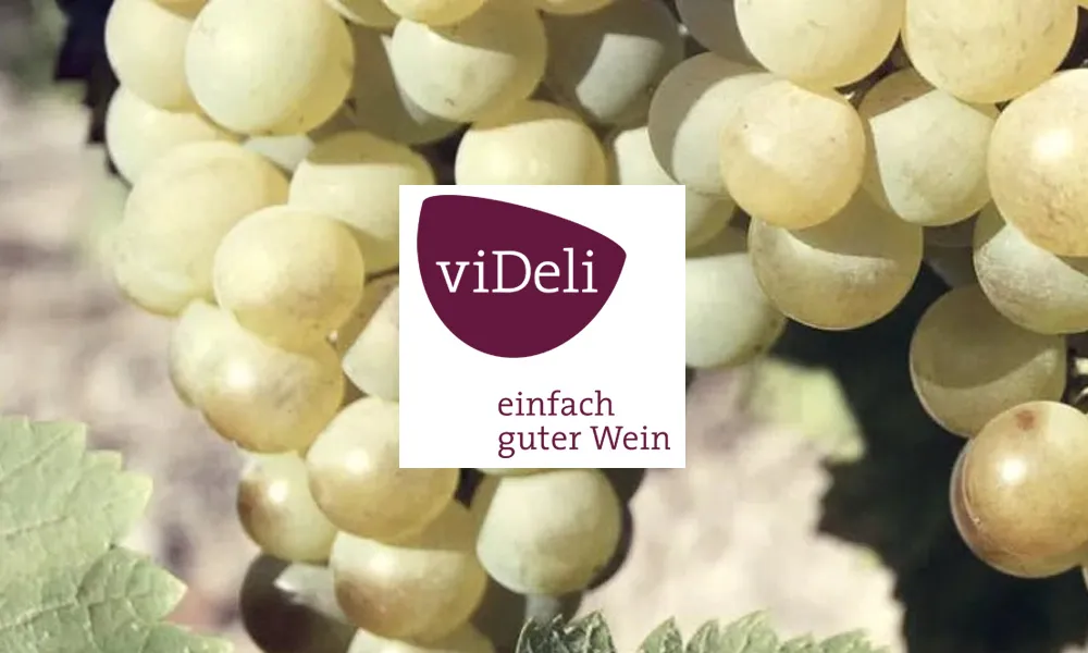 viDeli