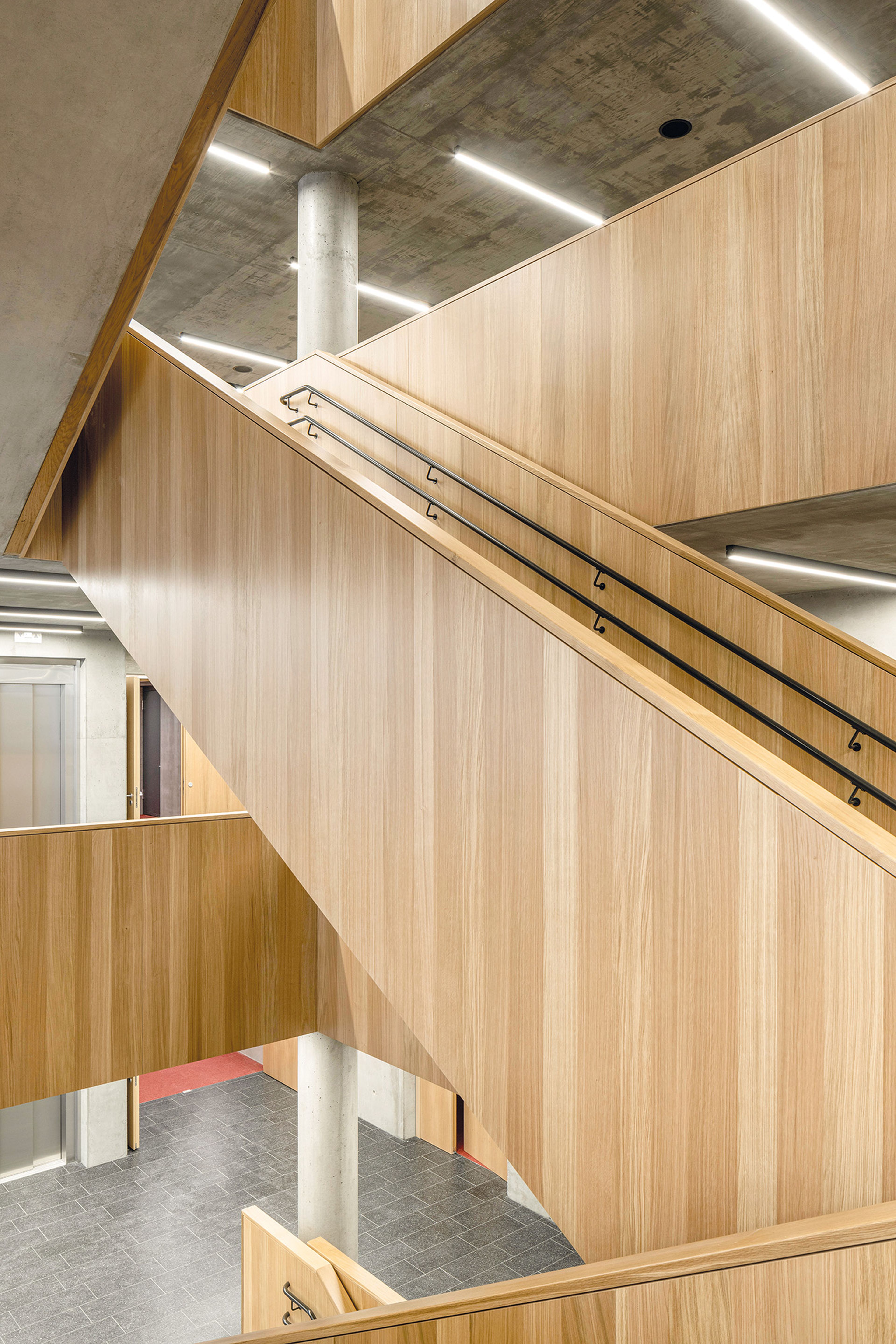 Moderne Innentreppe mit Holzvertäfelung und Metallgeländer; geometrisches Design mit Deckenbeleuchtung und Betonelementen.