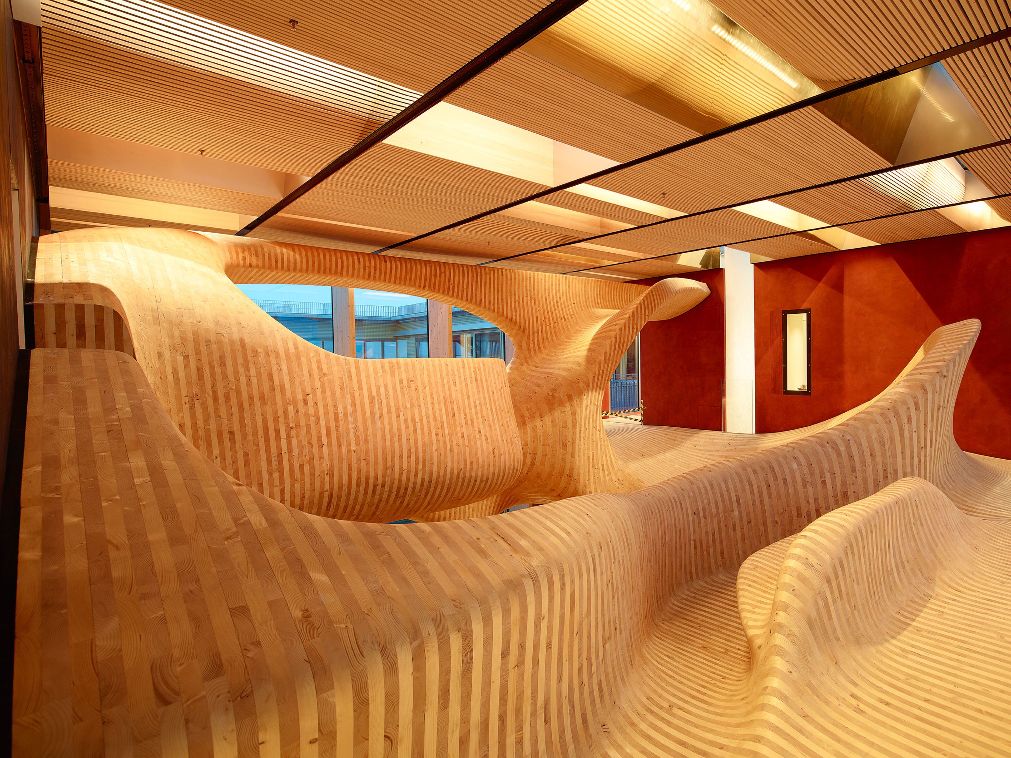 Begehbare, organisch geformte Holzskulptur ‚Body‘ im Innenraum des OMICRON-Gebäudes in Klaus, entworfen von Eichinger Offices und ausgeführt von Gerhard Berchtold Zimmerei – eine skulpturale Kommunikationszone aus laminierten Brettsperrholzflächen, die fließende, körperhafte Formen und kommunikative Begegnungsflächen erzeugt.