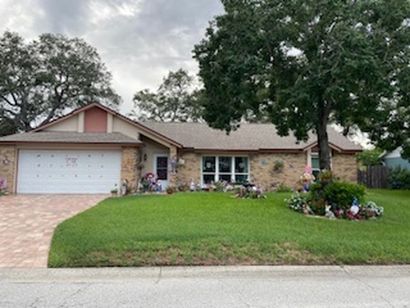 Yard of the Month, July 2025