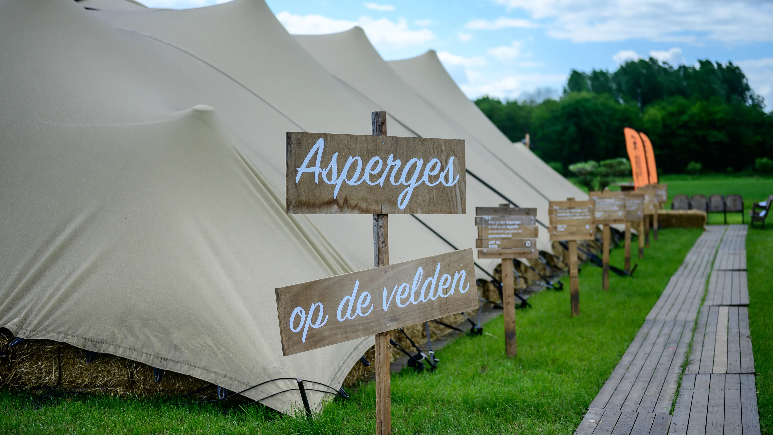 Asperges op de velden