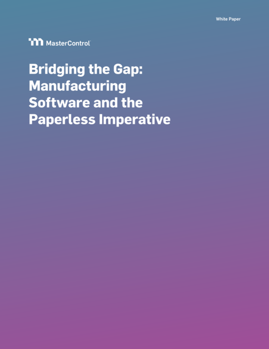 Cover Image of Bridging the Gap: Manufacturing Software and the Paperless Imperative Document
