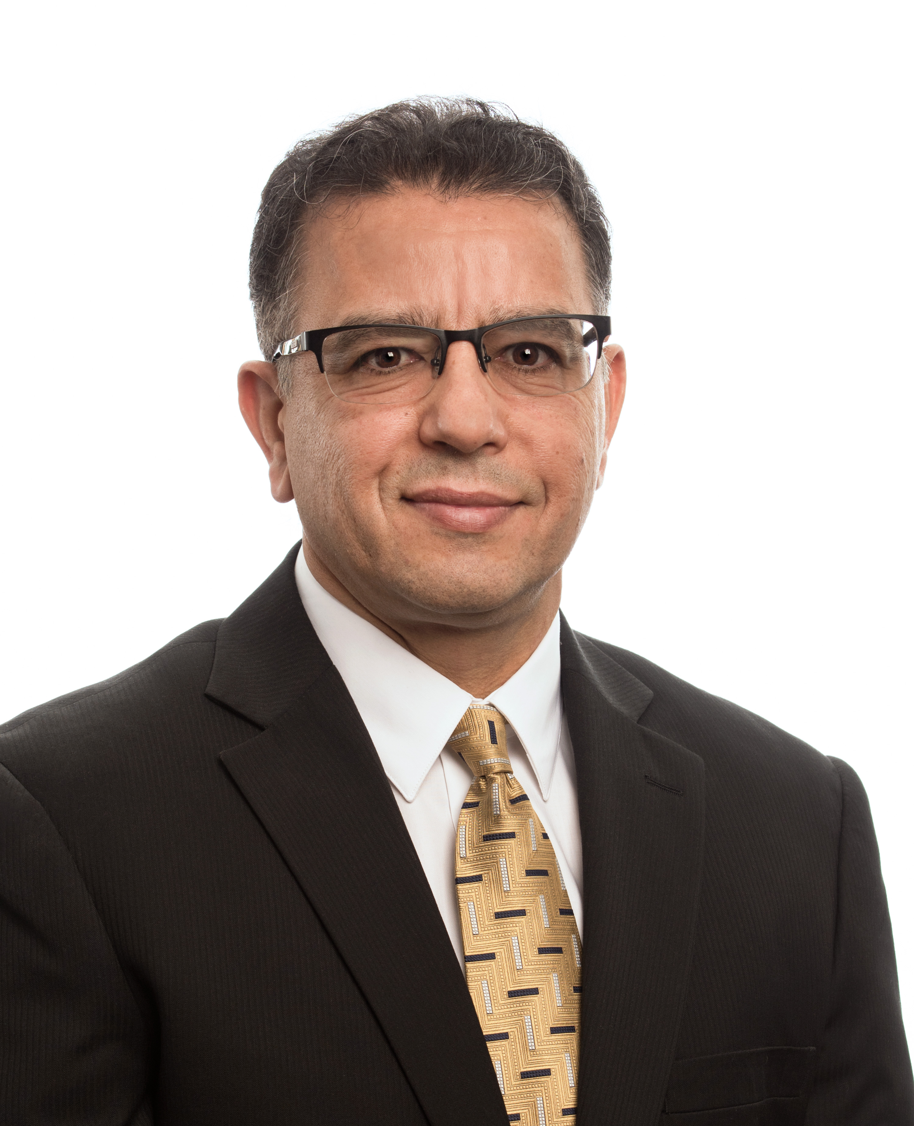 Image of Seyed Khorashahi