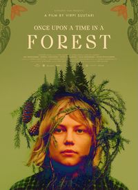Bir Zamanlar Ormanda film posteri