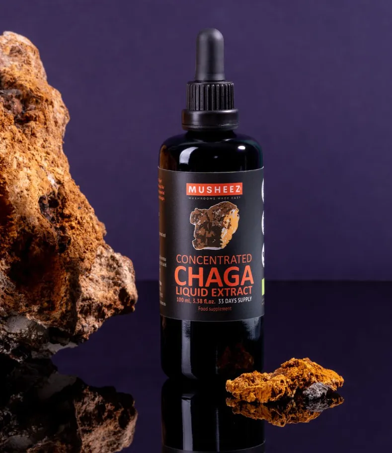 Mirn glass dropper bottle labeled "Concentrated CHAGA Liquid Extract" sits on a reflective surface, with rugged rocks and a purple backdrop.