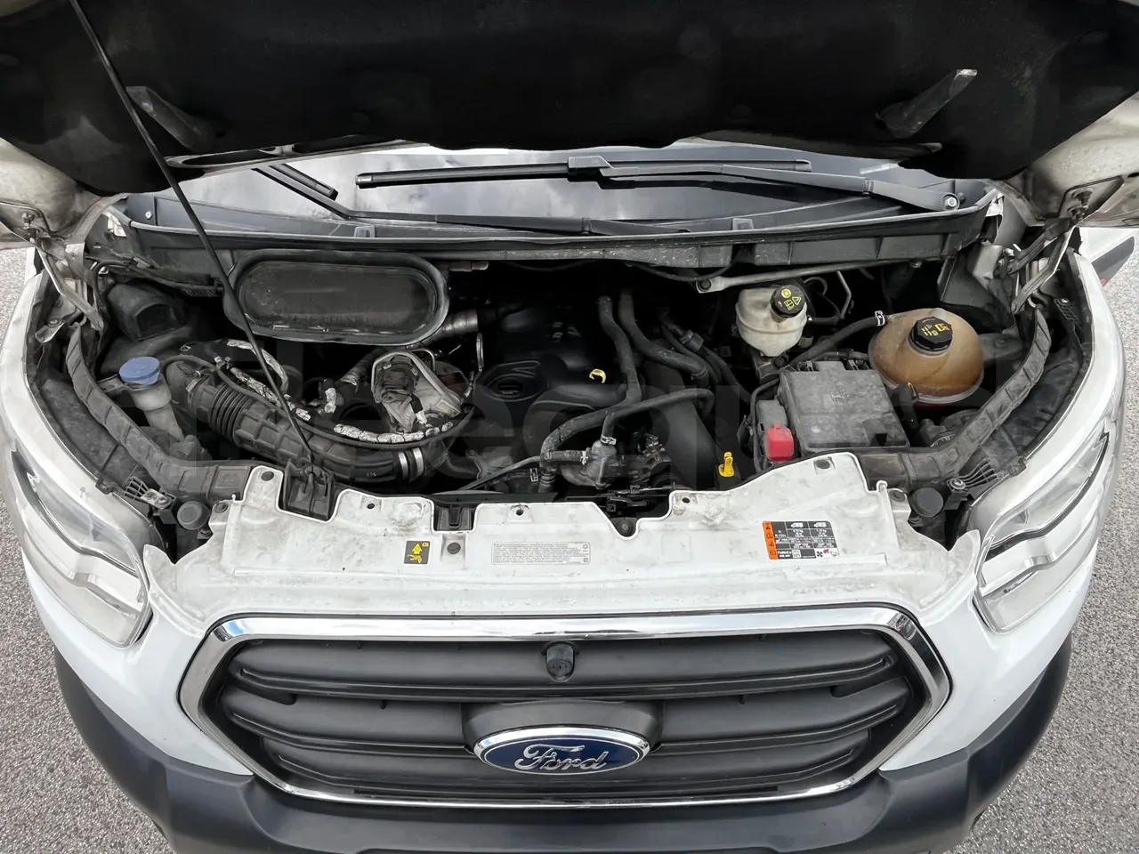 ford-transit-engine-fleequid-WF0MXXTTRMKT41965