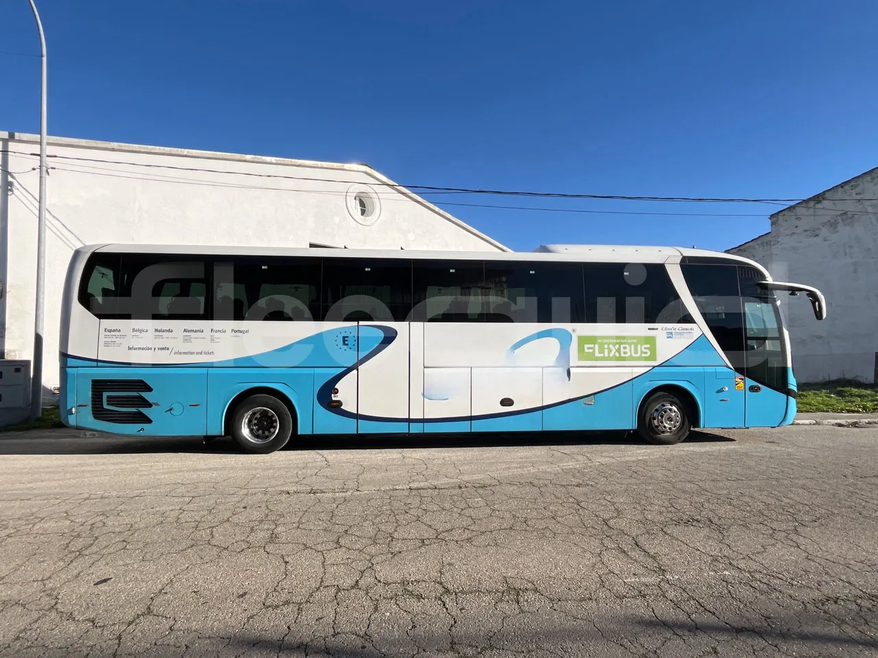 man-lions-coach-external-fleequid-WMAR10ZZ9KT030558