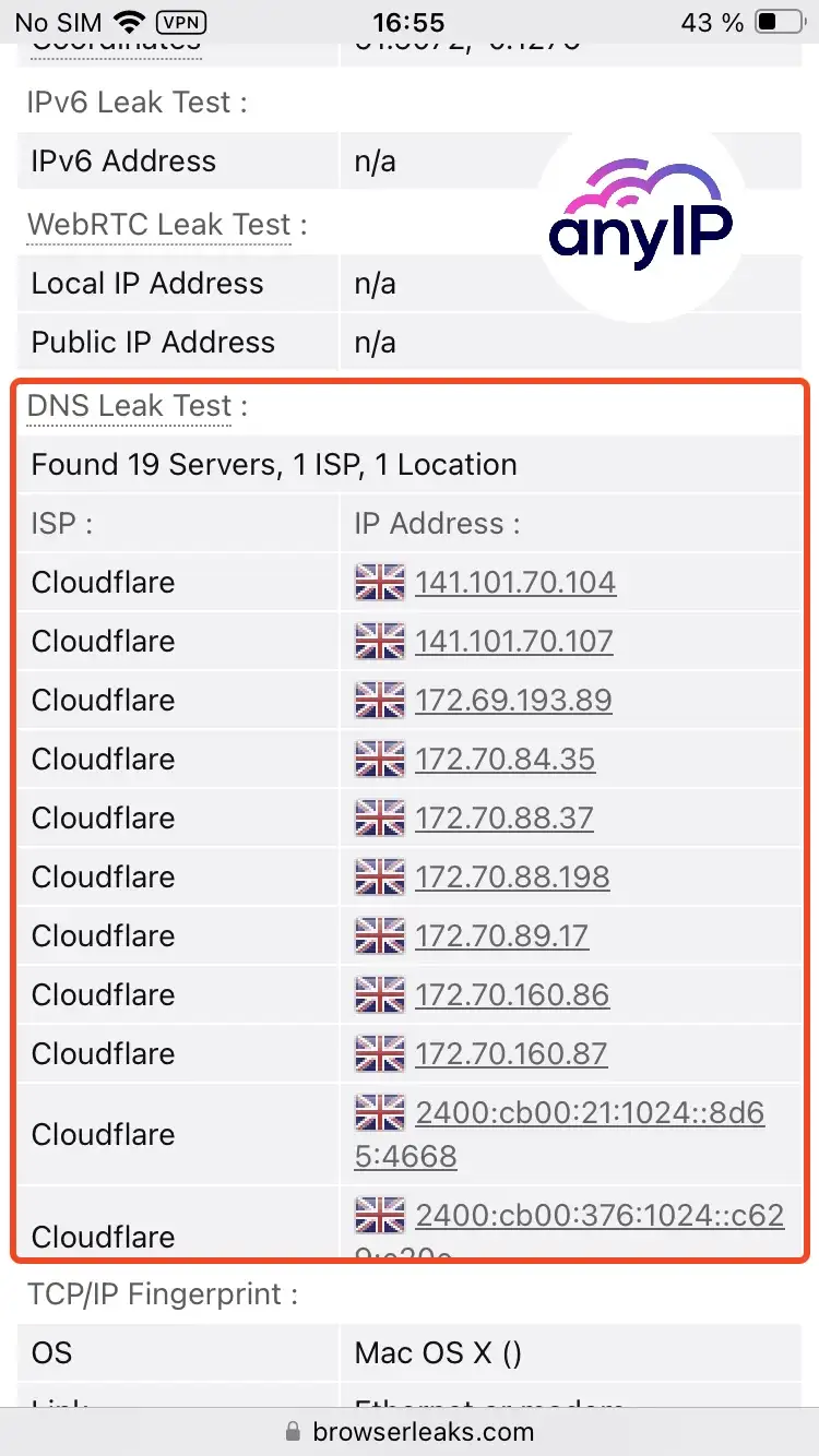 Browserleaks.com DNS leak test result shows no issue while using the proxy 
