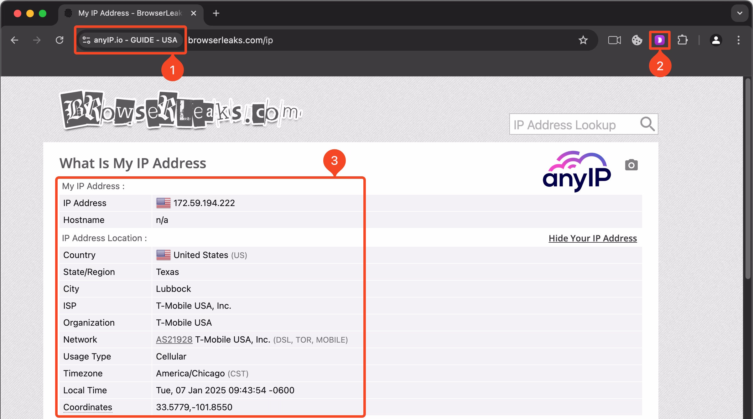 How to identify a dolphin anty browser instance
