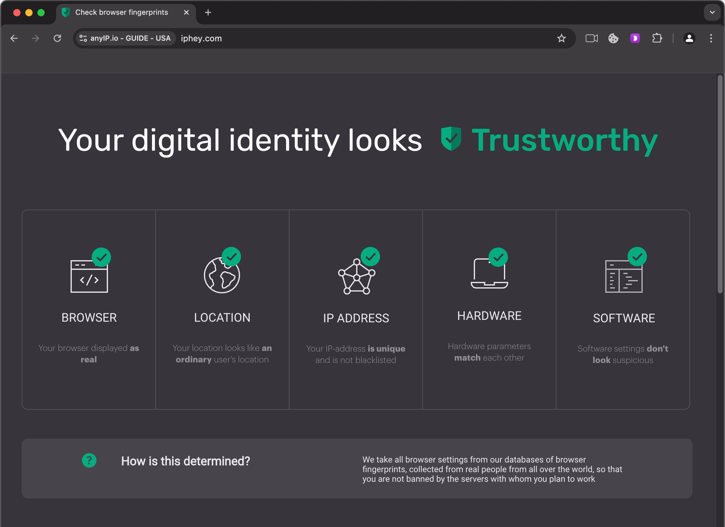 Iphey fingerprint's check from my Dolphin-anti's browser profile