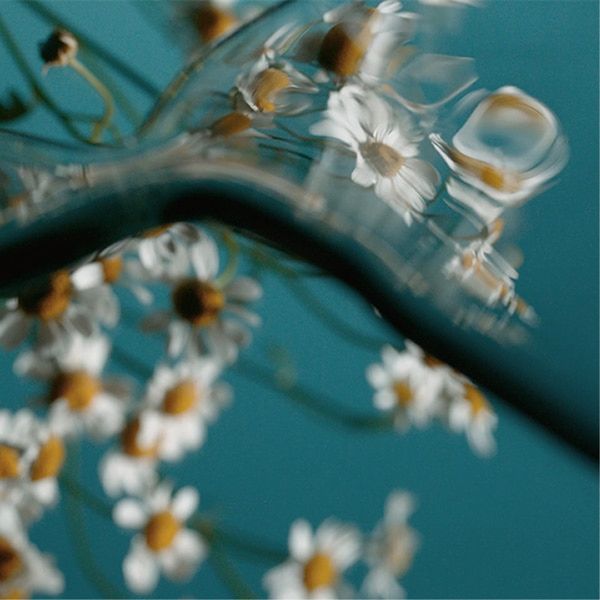 Zero-Waste Haircare