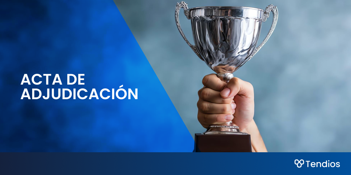Acta de adjudicación: contenido legal y cómo leerla