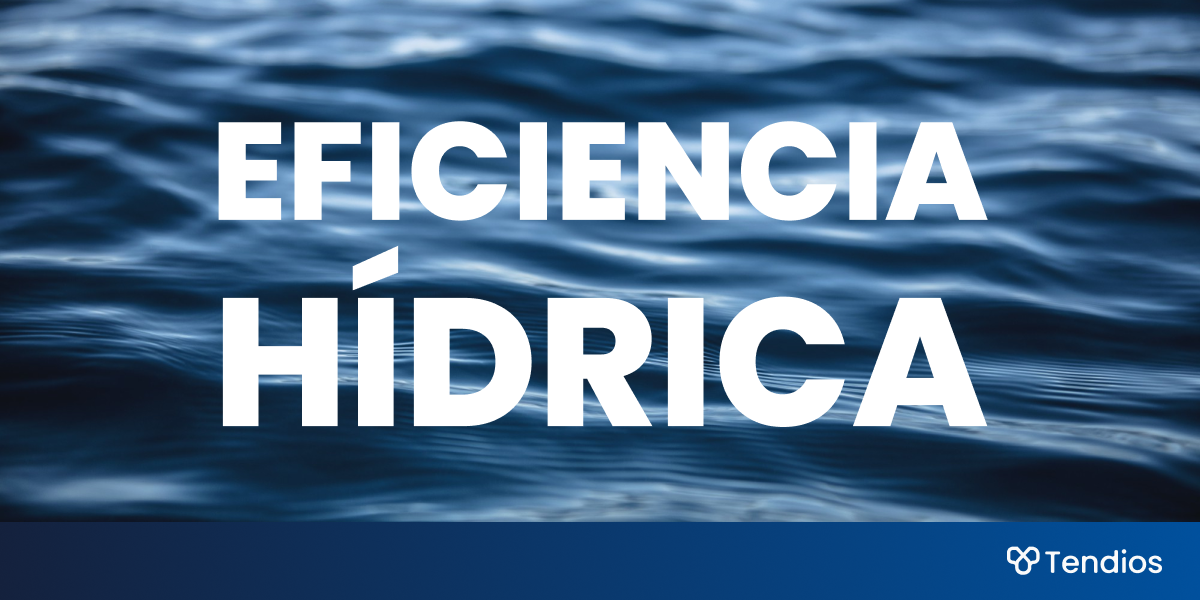 Eficiencia hídrica en pliegos de contratación pública