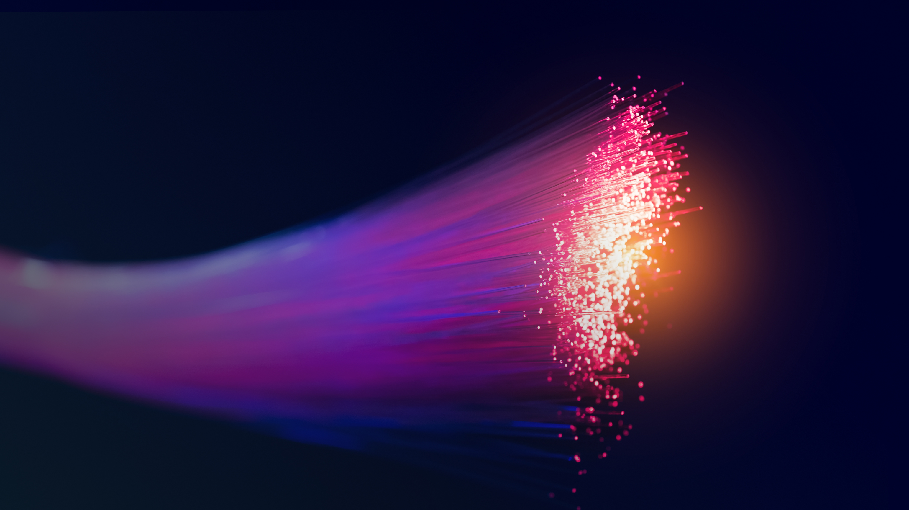 Asesoramos tu proyecto