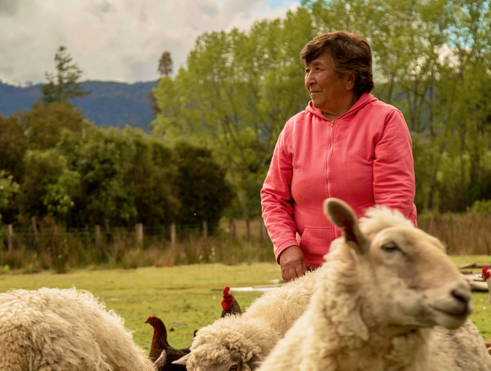 Al ingresar a un territorio, sociabilizamos los proyectos, generando un acercamiento temprano con las comunidades. Explicamos los aspectos de la Línea de Base ambiental y generamos una relación permanente con las comunidades y las autoridades locales, durante toda la vida útil del proyecto.