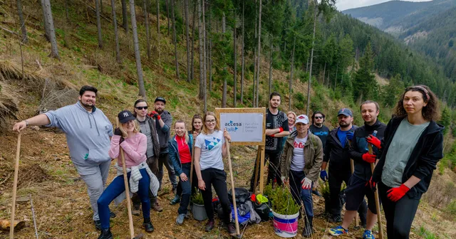 We’ve Brought to Life a New Forest in Cluj County