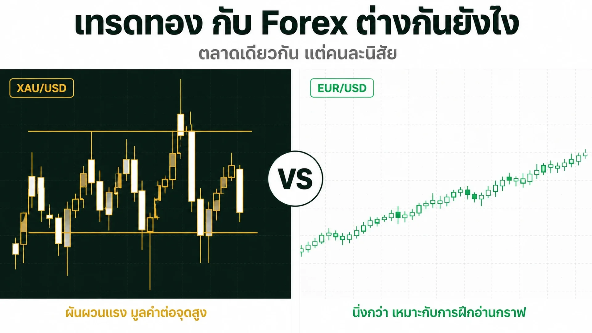 เทรดทอง vs Forex ต่างกันยังไง? มือใหม่เลือกอะไรดี