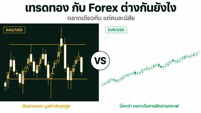 Gold vs Forex Trading: Which Is Better for Beginners?
