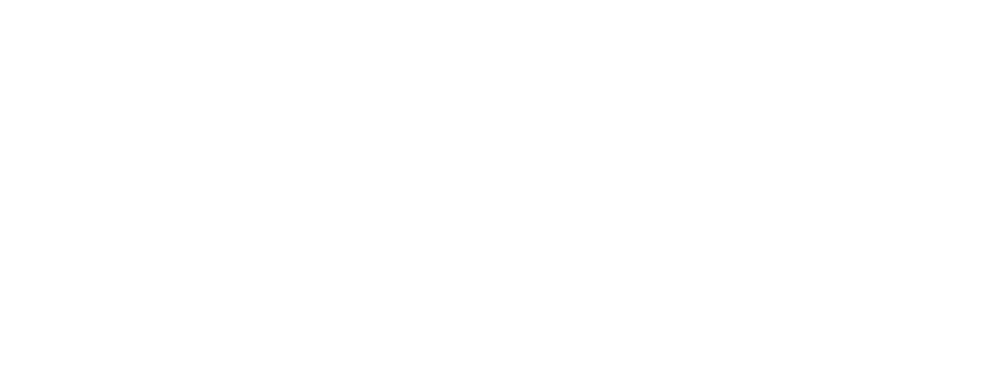 fasching-logo.png