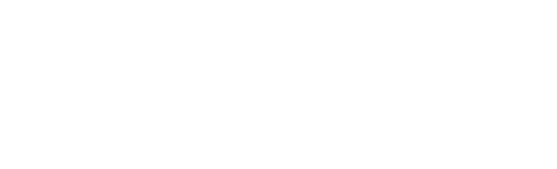 swish-logo-vit.png