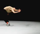 Category Dans image 2