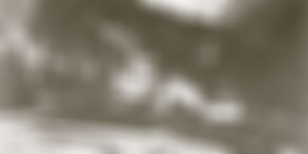 Erstes Großkraftwerk: Kraftwerk Plansee