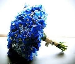 Ослепительный синий Ослепительный синий