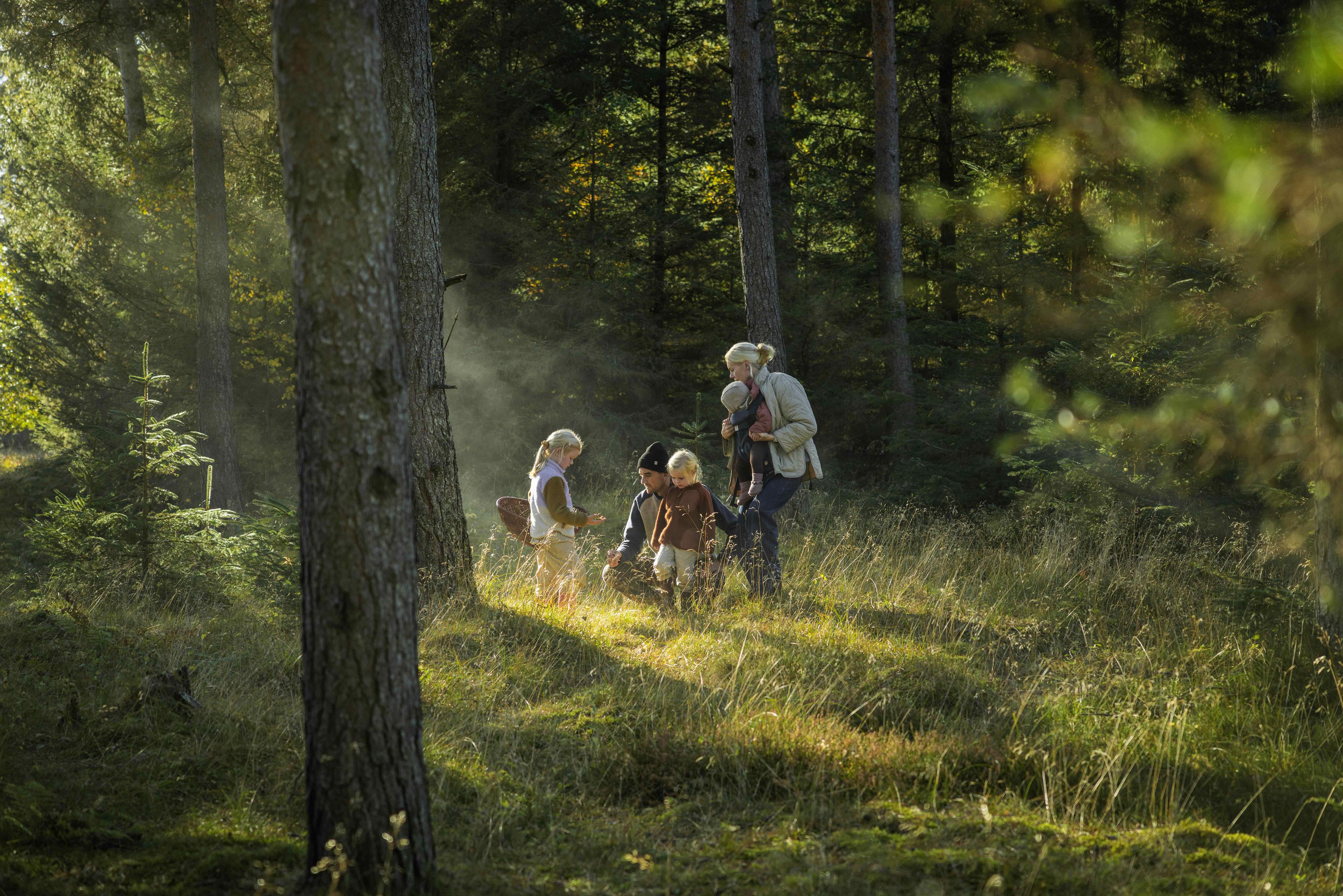 A family in the forest