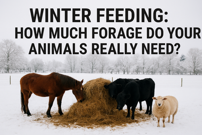 Winter Feeding: How Much Forage Do Your Animals Really Need?
