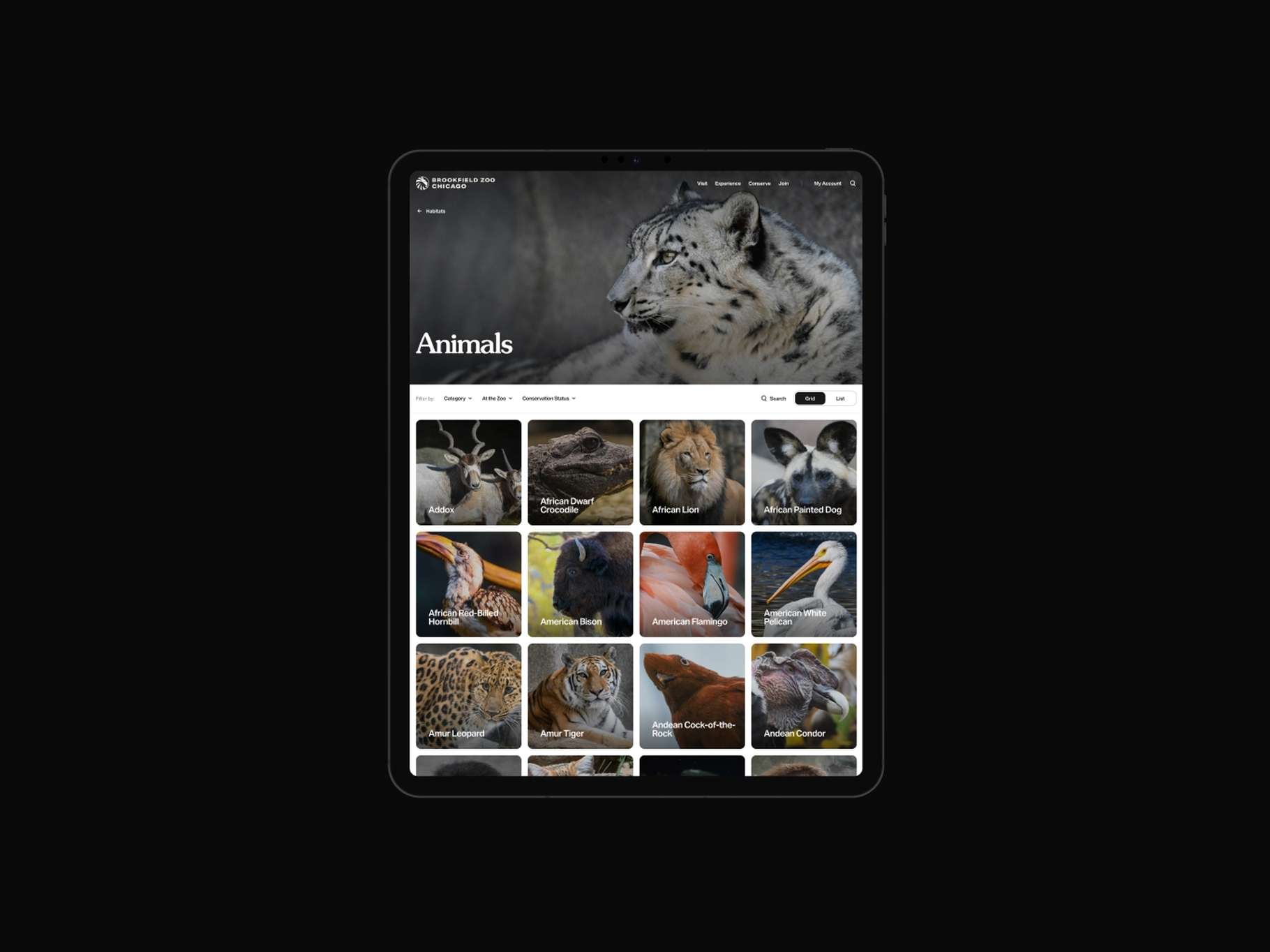 Digital interface design for an animal database grid system, presented on a tablet frame with clear search filters, sorting options, and labeled image thumbnails.
