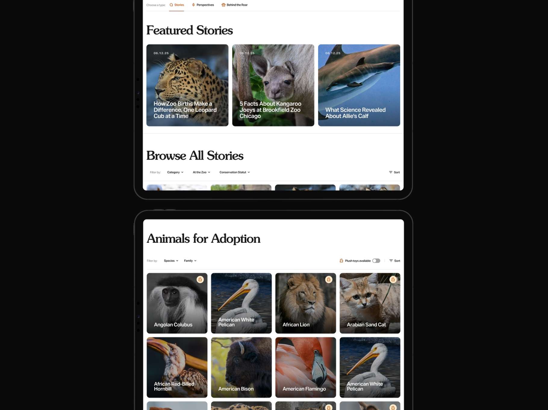 Dynamic web layout presentation showing a blog publication feed card module and an active animal adoption grid collection on tablet screen frames.