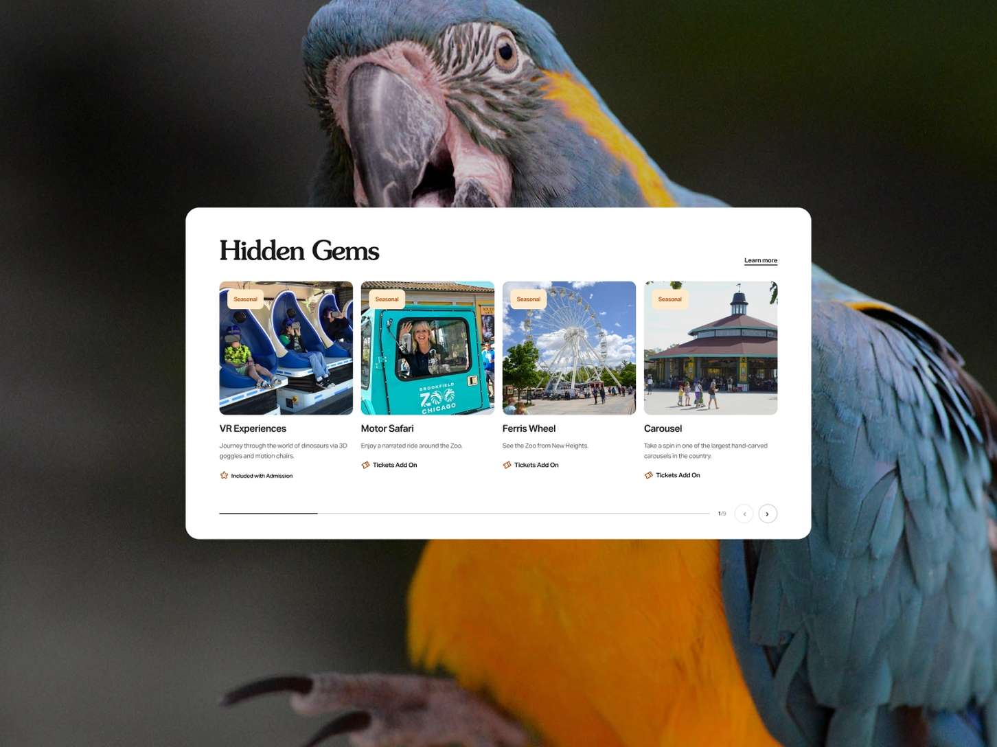 Editorial web UI dashboard card displaying attraction recommendations with preview blocks and fine details, overlaid on a vibrant parrot image backdrop.