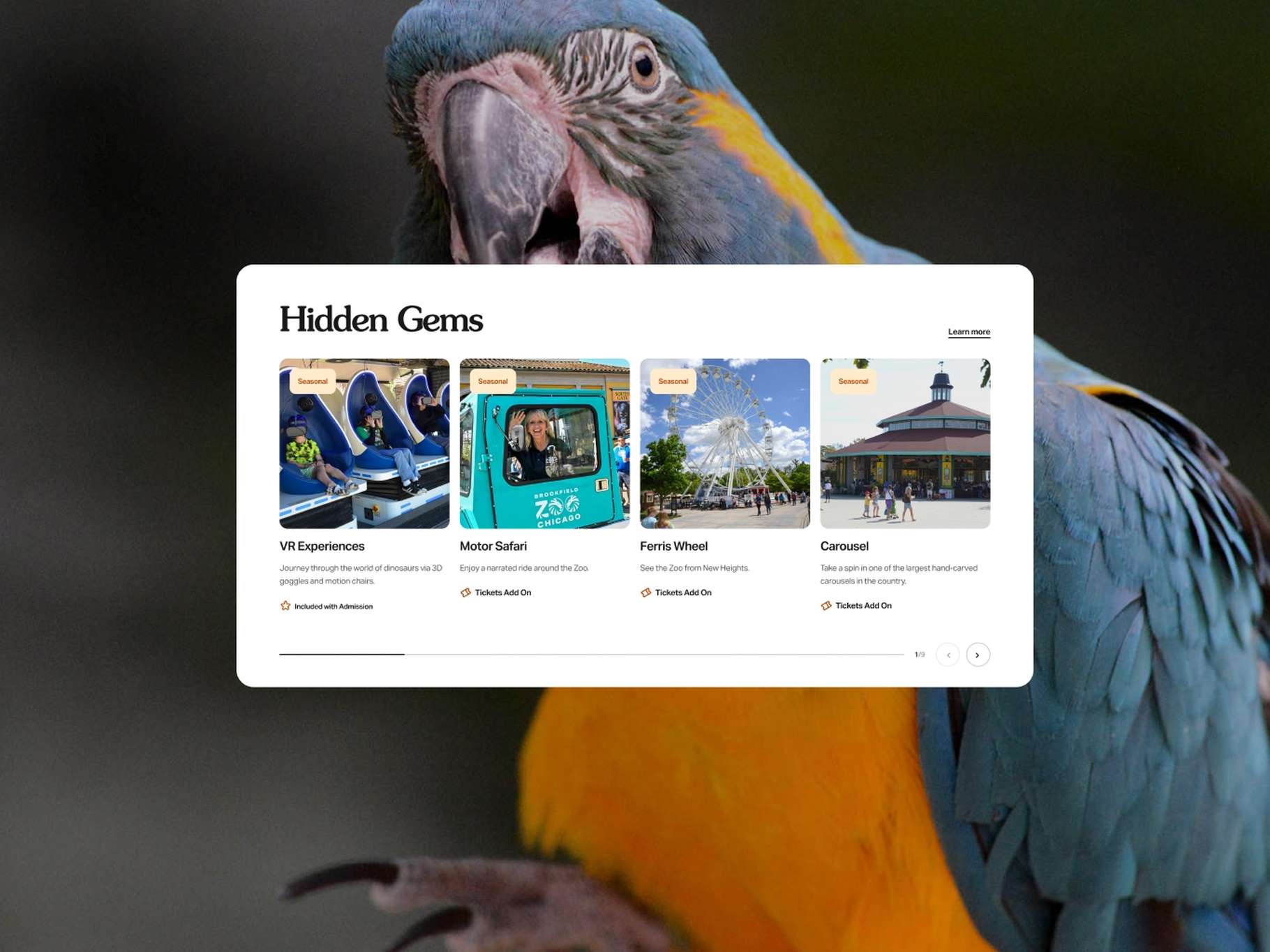 Editorial web UI dashboard card displaying attraction recommendations with preview blocks and fine details, overlaid on a vibrant parrot image backdrop.